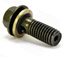 bolt-tormoznogo-shlanga