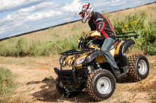 Квадроцикл IRBIS ATV150-U LUX